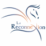 La Reconnexion